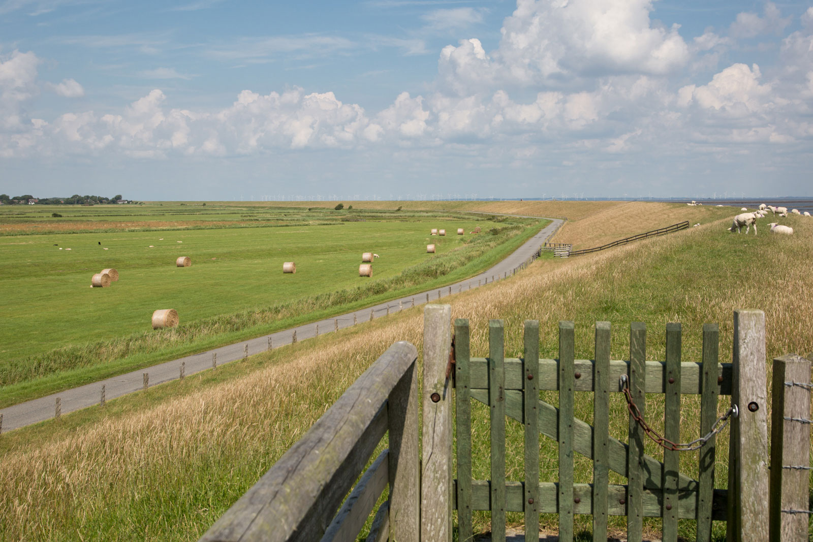 Fahrradtour durch die weite Landschaft Pellworms während einer Urlaubswoche