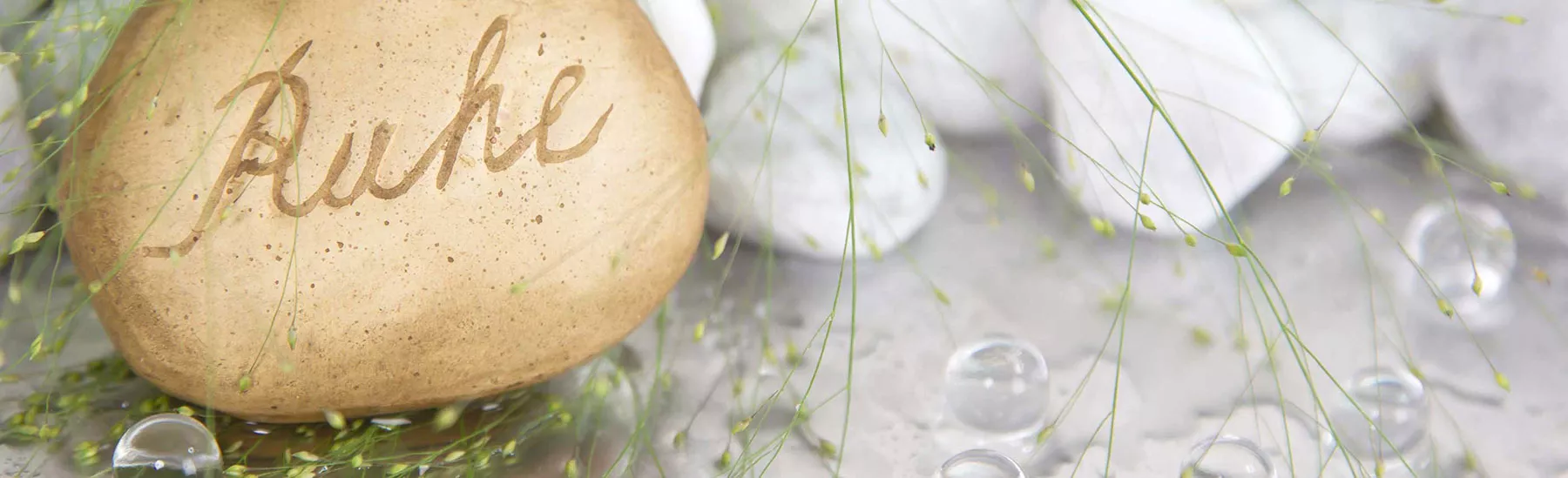 Entspannter Hundeurlaub an der Nordsee: Ferienwohnung Mühlenblick auf der Nordseeinsel Pellworm heißt bis zu zwei Hunde nach Absprache willkommen