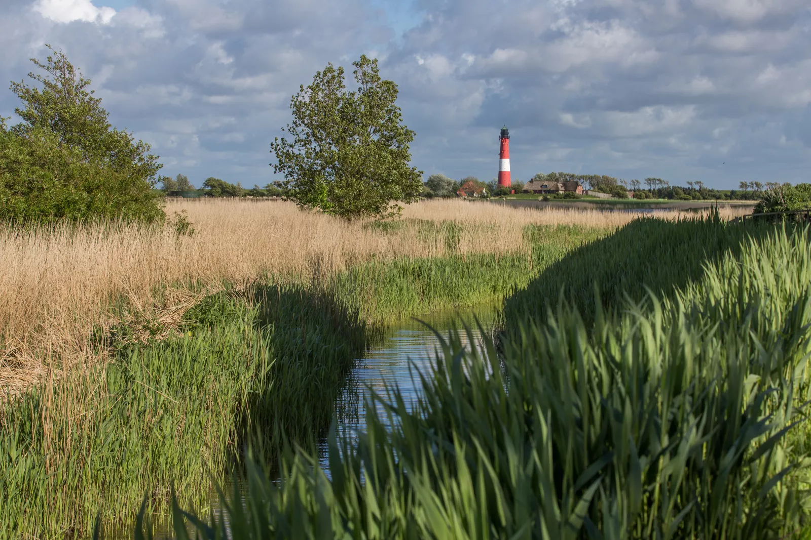 urlaub-nordsee-insel-pellworm