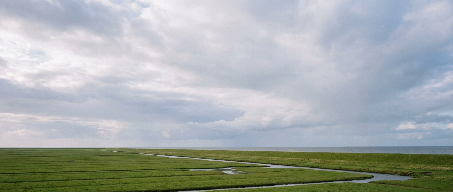 Weite Landschaft der Nordseeinsel Pellworm mit grünen Wiesen, Deich und offenem Nordseehimmel – ideal für einen ruhigen Entspannungsurlaub an der Nordsee