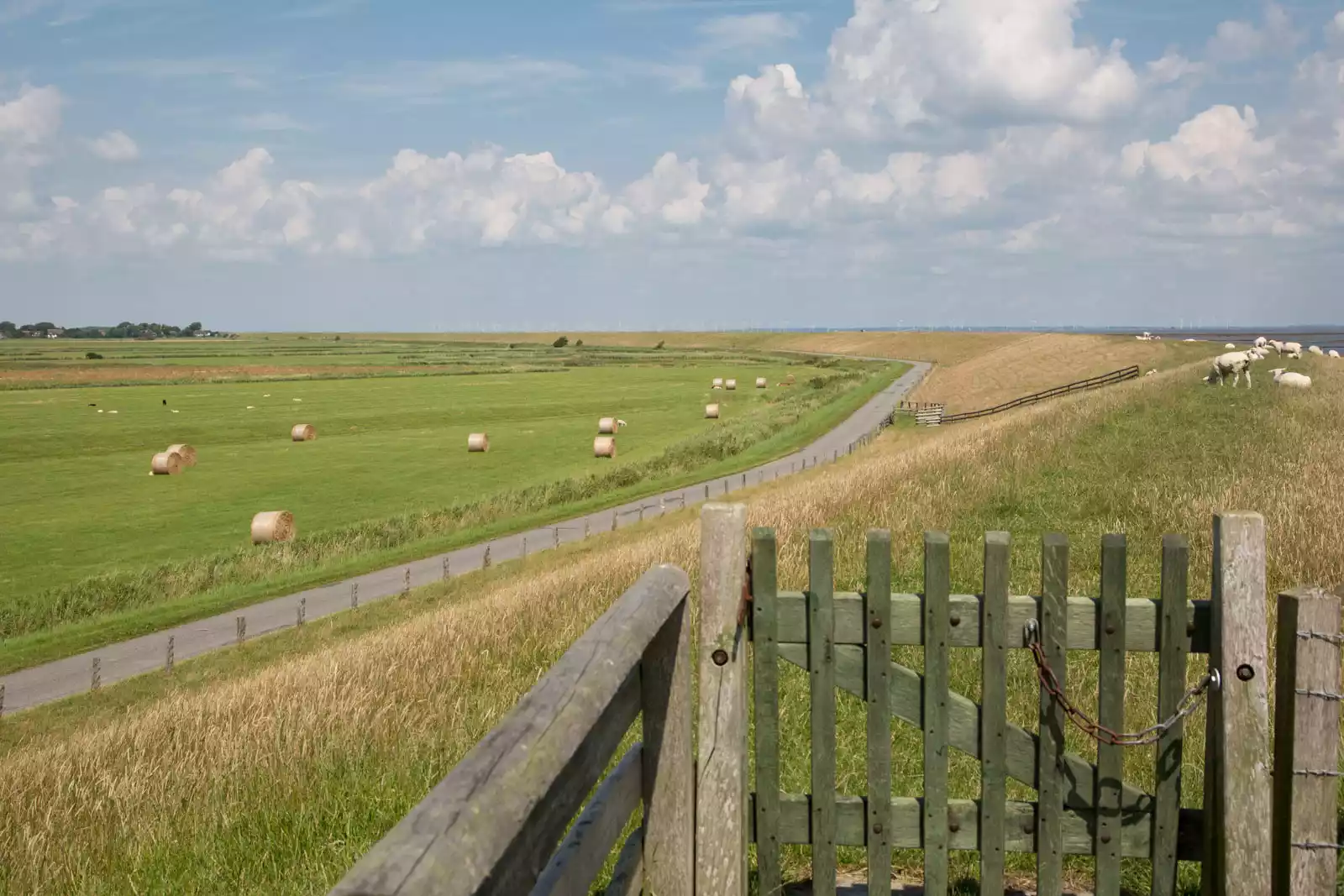 Fahrradtour durch die weite Landschaft Pellworms während einer Urlaubswoche